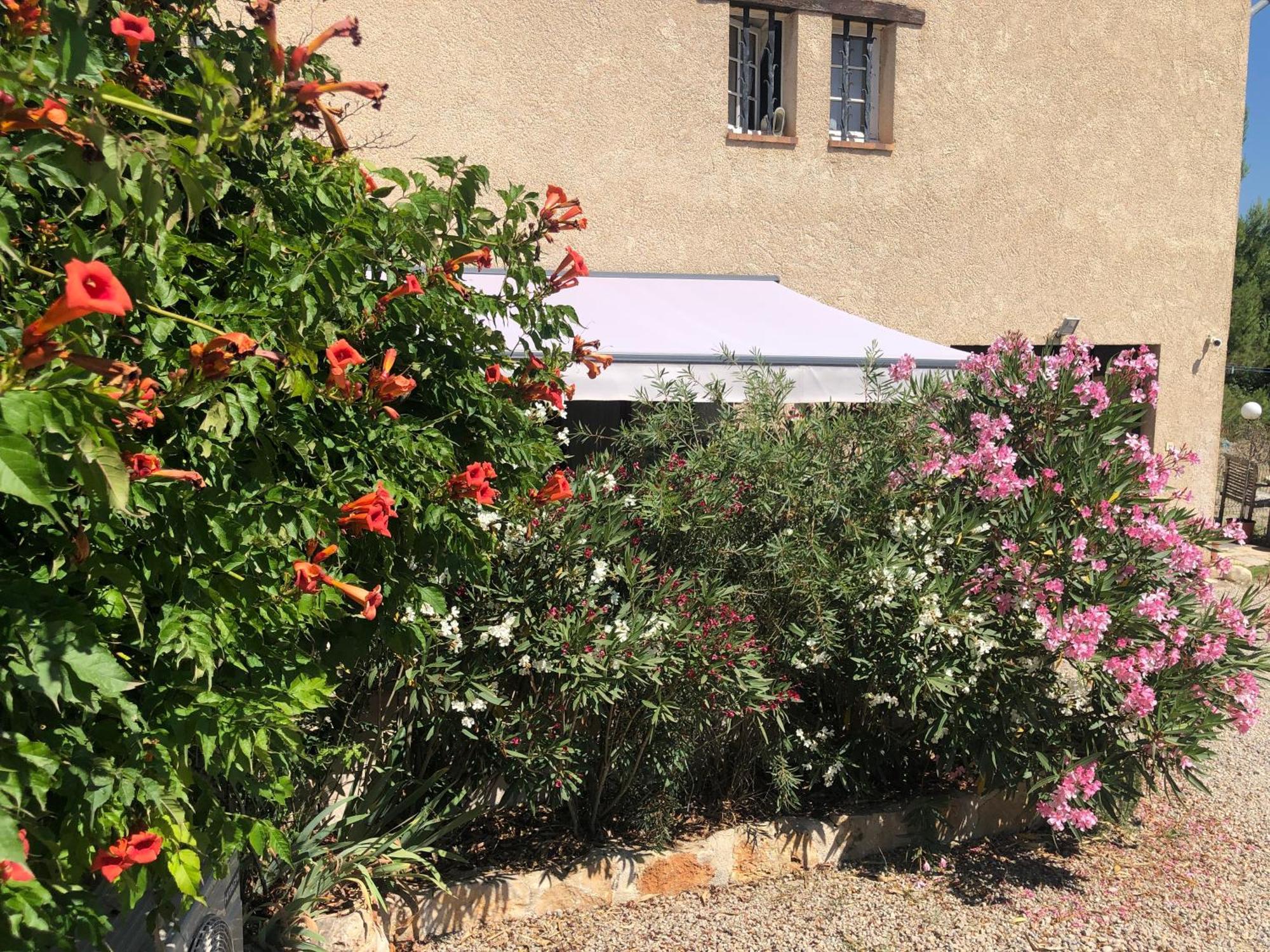 Le Cocon De Provence Apartment Fayence Bagian luar foto